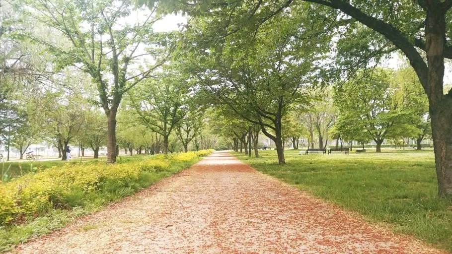 난지한강공원