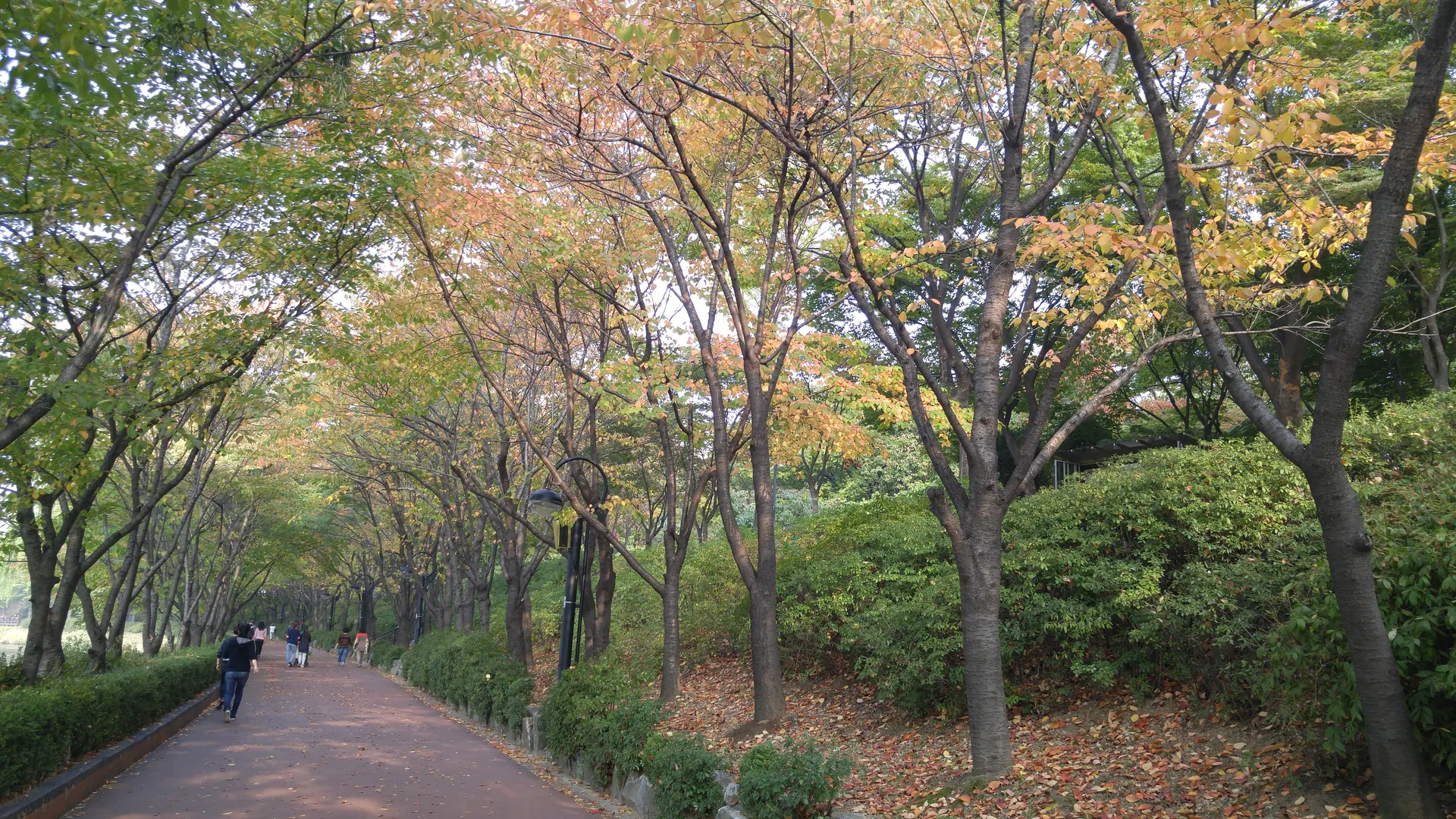 석촌호수 서호