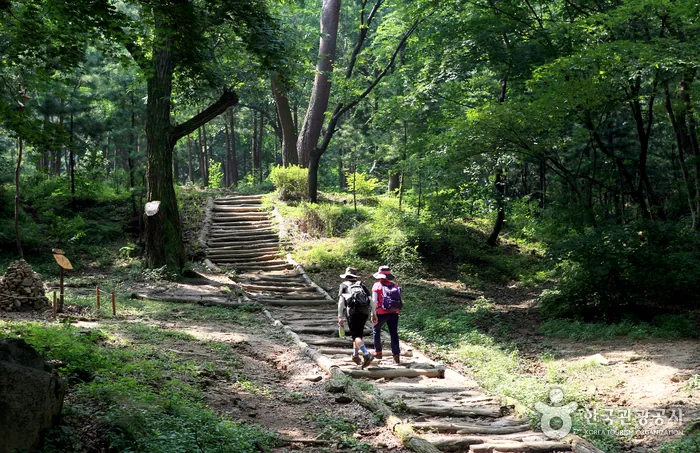 백사실계곡 (백석동천)