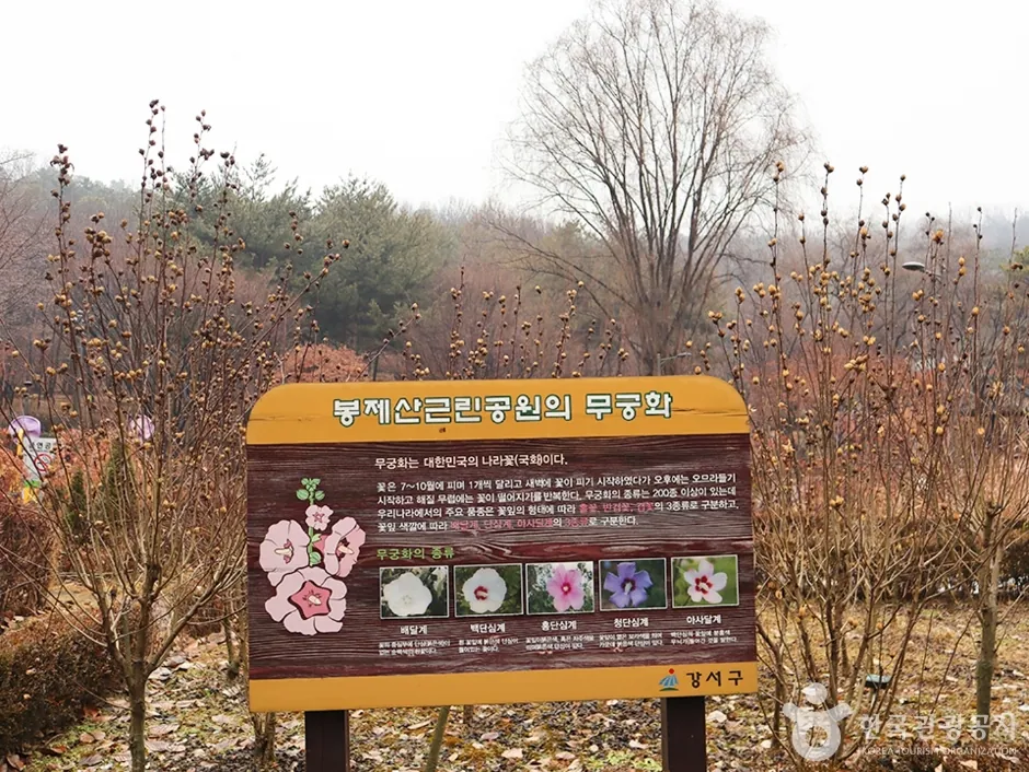 봉제산공원 둘레길