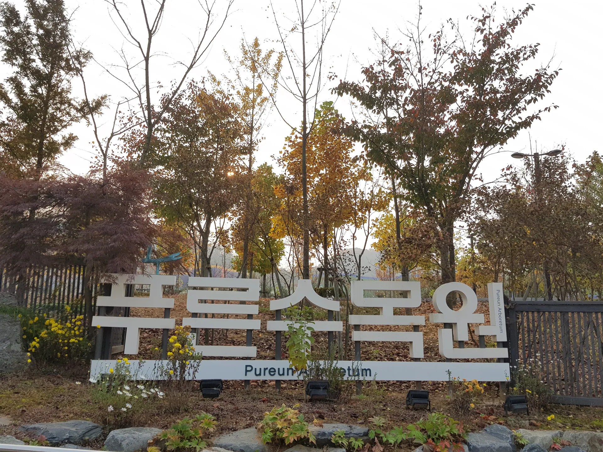 푸른수목원