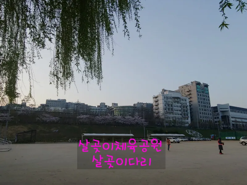 살곶이체육공원