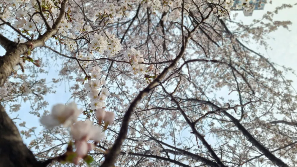 중랑천