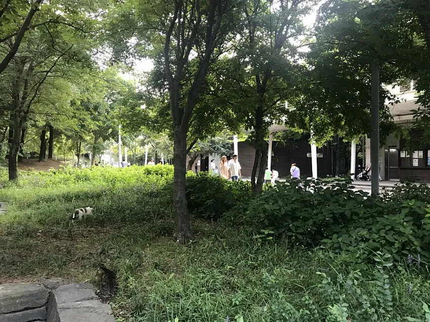 서울숲공원 · 원문 게시 당시 방문 사진 (2019-09-24T22:08:30+09:00). 성동구 서울숲 입구 상호·산책로·호수 직접방문. ND 전체 프레임 유지.