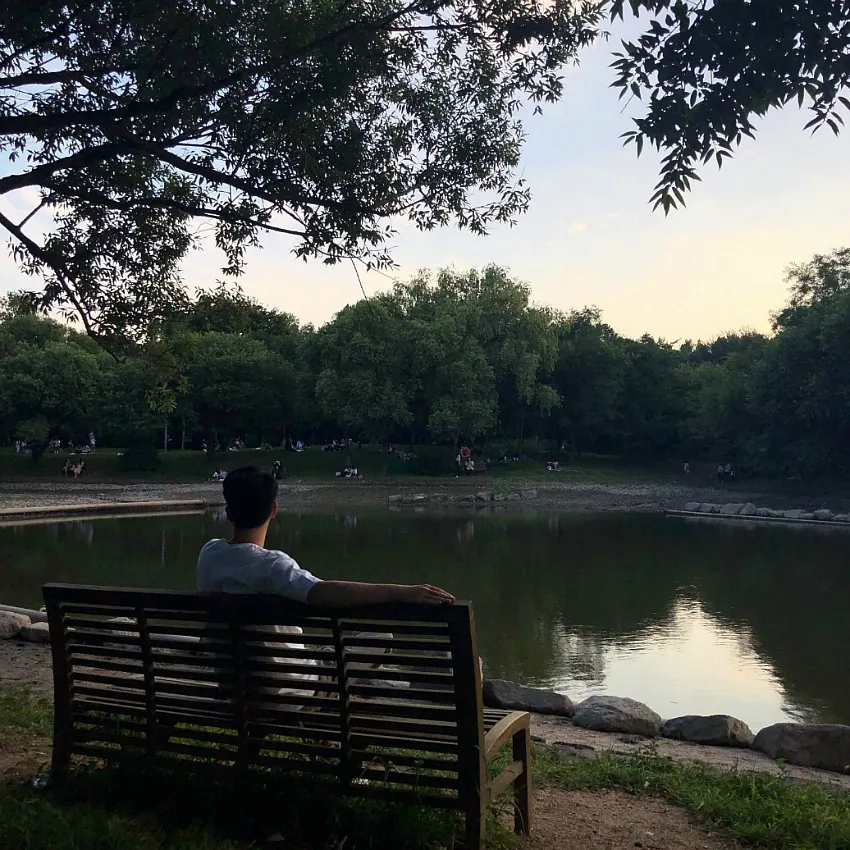 서울숲공원 · 원문 게시 당시 방문 사진 (2019-09-24T22:08:30+09:00). 성동구 서울숲 입구 상호·산책로·호수 직접방문. ND 전체 프레임 유지.