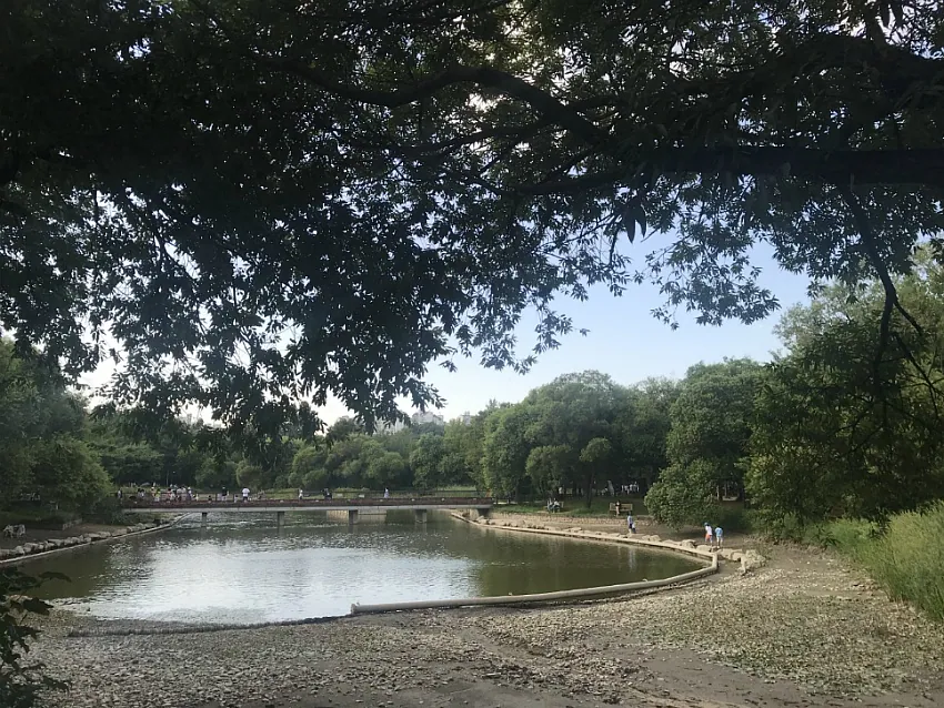 서울숲공원 · 원문 게시 당시 방문 사진 (2019-09-24T22:08:30+09:00). 성동구 서울숲 입구 상호·산책로·호수 직접방문. ND 전체 프레임 유지.