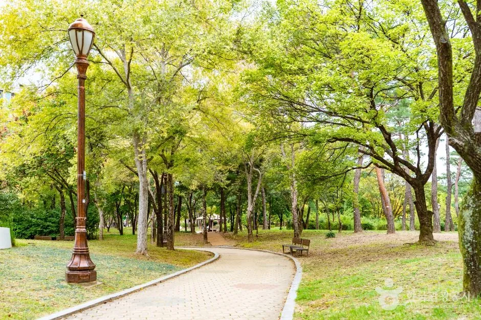 여의도공원 사진 2