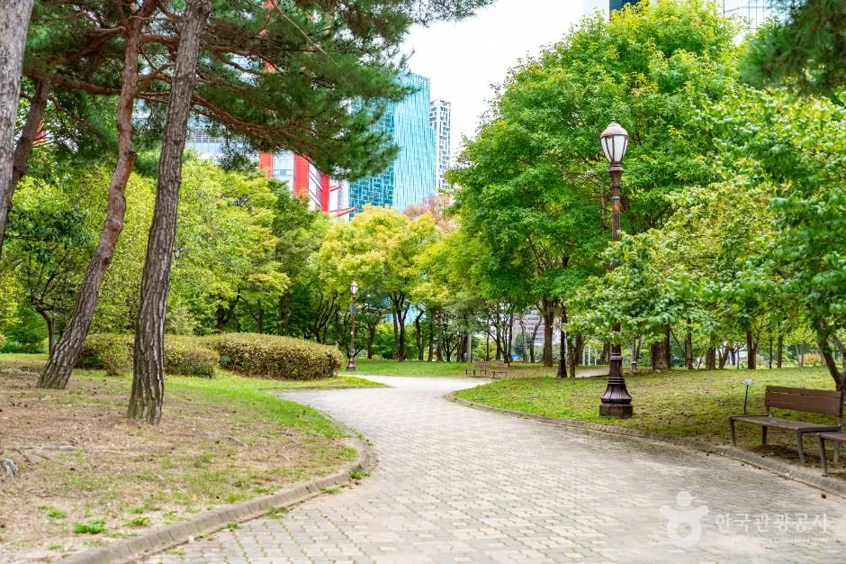 여의도공원 사진 5
