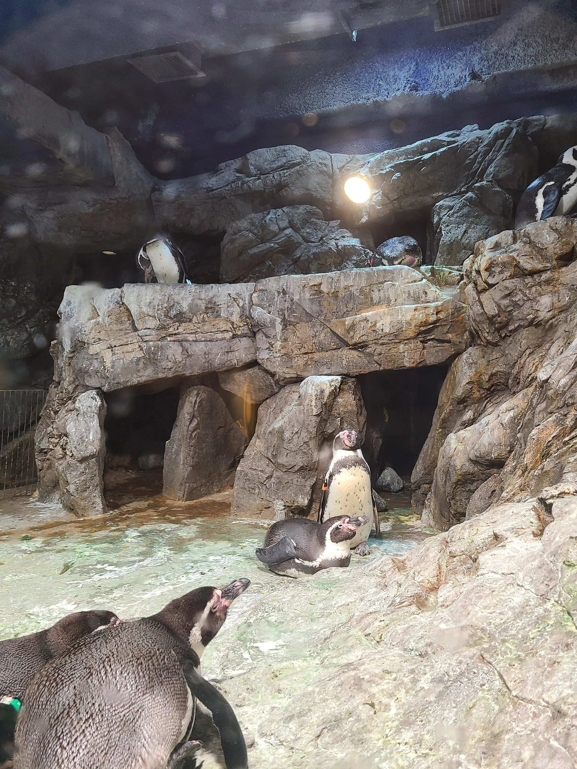 63빌딩 · 원문 게시 당시 방문 사진 (2020-07-12T16:45:02+09:00). 63빌딩 내부의 과거 아쿠아리움·전망대 방문사진을 당시 시설 보조사진으로만 사용. 현재 전시·영업을 뜻하지 않음. 공연자 중심 사진과 전시작품 중심 화면은 별도 권리 확인 전 보류.