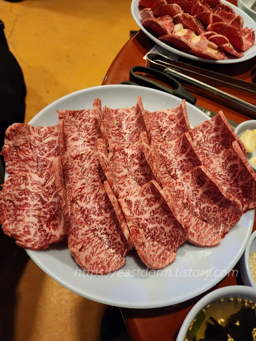 초원